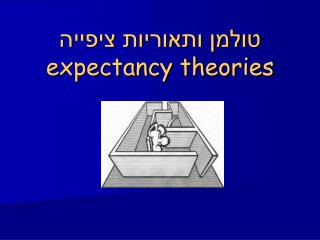 טולמן ותאוריות ציפייה expectancy theories