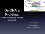 De DNA a Prote na: Como las c lulas leen el genoma