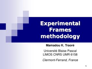 Experimental Frames methodology