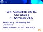 Joint Accessibility and EC SIG meeting 23 November 2005