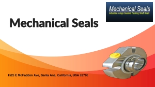Choose best cartridge seals In the USA