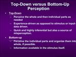 Top-Down versus Bottom-Up Perception