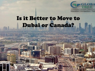 Is it Better to Migrate to Canada or Dubai? | Global Tree