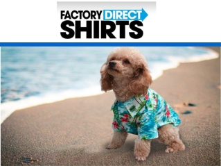 Doggie Shirts