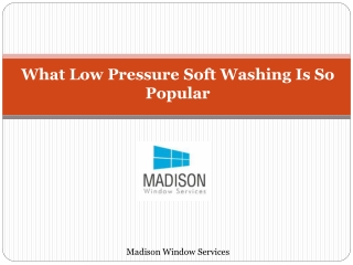 What Low Pressure Soft Washing Is So Popular