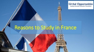 Reasons to Study in France