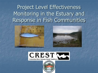 Project Level Effectiveness Monitoring in the Estuary and Response in Fish Communities