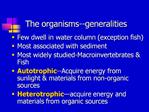 The organisms--generalities