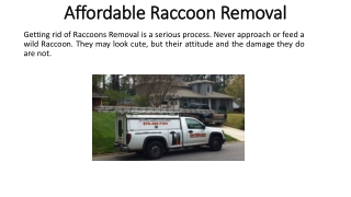 Affordable Raccoon Removal