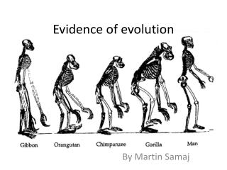 Evidence of evolution