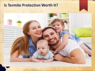 Is Termite Protection Worth It?