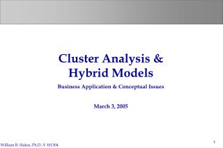 Cluster Analysis &amp; Hybrid Models Business Application &amp; Conceptual Issues March 3, 2005