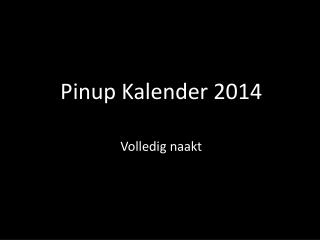 Pinup Kalender 2014