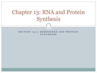 Chapter 13: RNA and Protein Synthesis