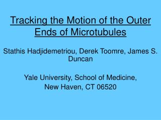 Tracking the Motion of the Outer Ends of Microtubules