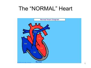 The “NORMAL” Heart