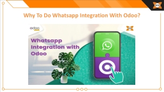 Why To Do Whatsapp Integration With Odoo
