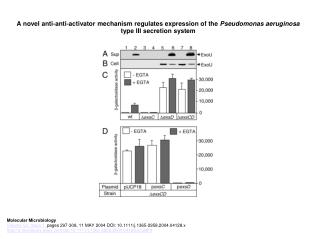 A novel anti‐anti‐activator mechanism regulates expression of the Pseudomonas aeruginosa type III secretion system