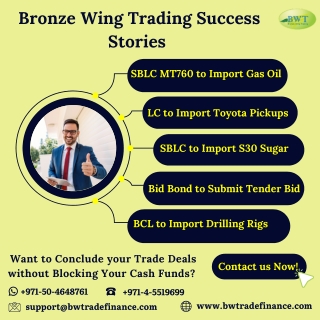 Infographics: Bronze Wing Trading Success Stories