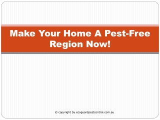 Make Your Home A Pest-Free Region Now!