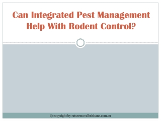 Can Integrated Pest Management Help With Rodent Control?