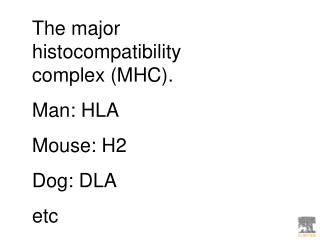 The major histocompatibility complex (MHC). Man: HLA Mouse: H2 Dog: DLA etc