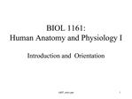 BIOL 1161: Human Anatomy and Physiology I