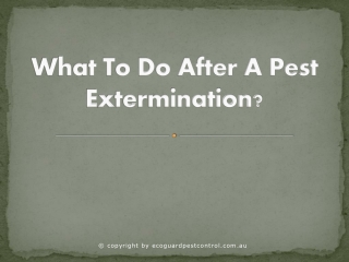 What To Do After A Pest Extermination?