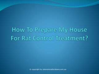 How To Prepare My House For Rat Control Treatment?