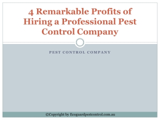 4 Remarkable Profits of Hiring a Professional Pest Control Company