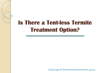 Is There a Tent-less Termite Treatment Option?