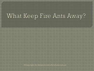 What Keep Fire Ants Away?