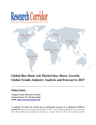 global-rice-husk-ash-market
