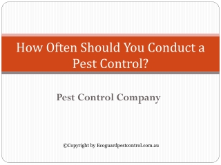 How Often Should You Conduct a Pest Control?