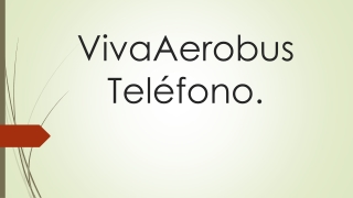 latest updates on VivaAerobus teléfono