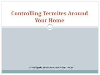 Controlling Termites Around Your Home
