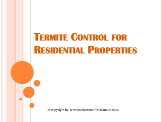 Termite Control for Residential Properties