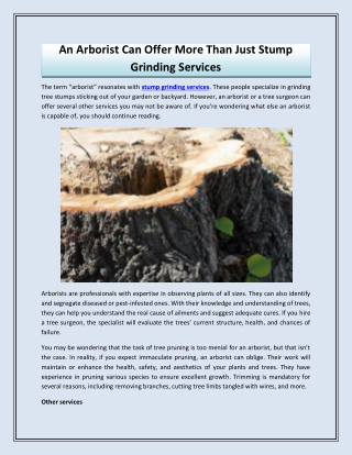 An Arborist Can Offer More Than Just Stump Grinding Services