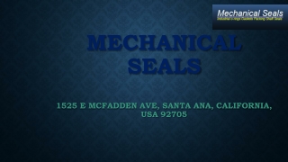Get the best Excellent Mechanical Seal