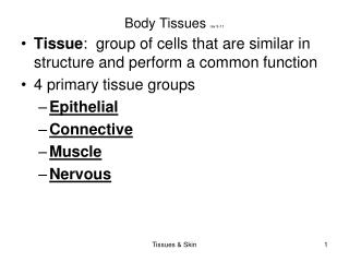 Body Tissues rev 9-11