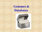Genomes Databases