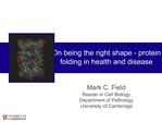 On being the right shape - protein folding in health and disease