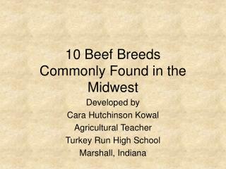 10 Beef Breeds Commonly Found in the Midwest