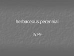 Herbaceous perennial