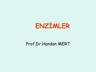 Prof.Dr.Handan MERT