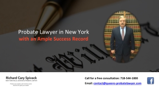 Probate Lawyer in New York with an Ample Success Record