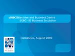 SEBC Syrian Enterprise and Business Centre SEBC- BI Business Incubator