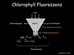 Chlorophyll Fluoreszenz