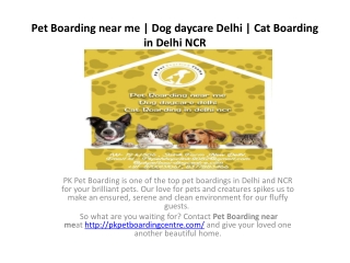 Pet Boarding near me | Dog daycare Delhi | Cat Boarding in Delhi NCR