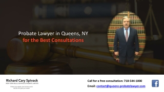 Probate Lawyer in Queens, NY for the Best Consultations